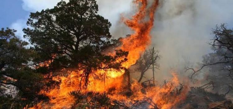 Incrementan incendios forestales en Tlaxcala