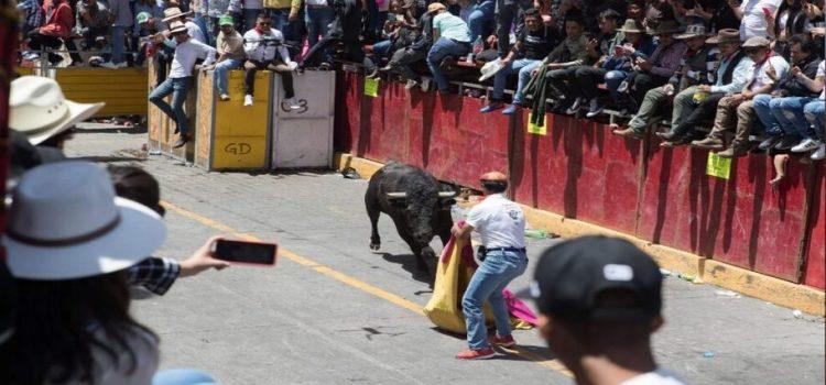 Huamantlada 2023 en Tlaxcala: toros dejan 20 heridos, 2 de gravedad
