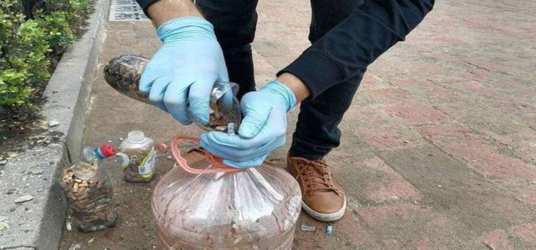 Recaban residuos para impulsar campañas de esterilización gratuitas en Tlaxcala