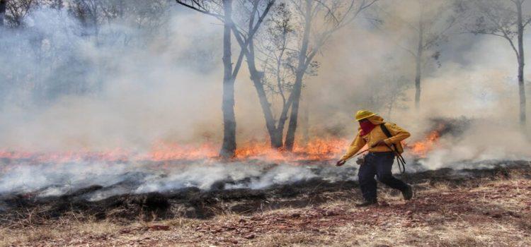 Se han registrado 32 incendios en bosques de Tlaxcala por sequía