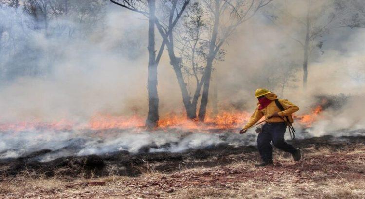 Se han registrado 32 incendios en bosques de Tlaxcala por sequía