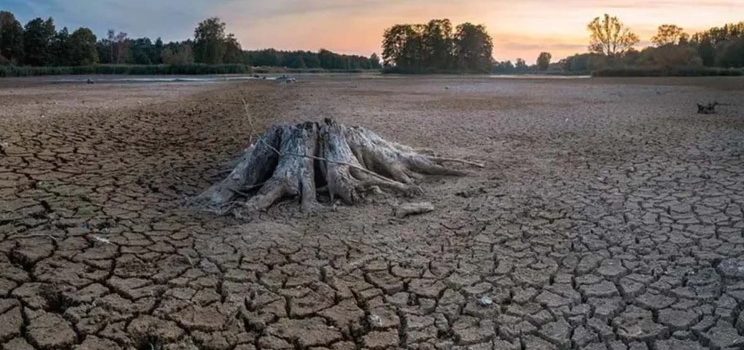 Se extiende la sequía a casi el 80% del país