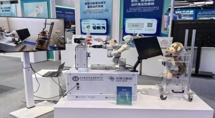 China crea Neucyber, el Implante cerebral chino que permite a un mono manejar brazo robótico con la mente
