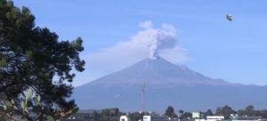Locatarios tlaxcaltecas toman medidas ante caída de ceniza
