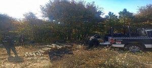 Guardia y Policía Forestal en coordinación con Tlaxcala realizan su primer decomiso