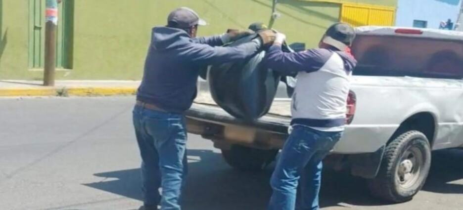 Denuncian envenenamiento masivo de perros en Tlaxcala