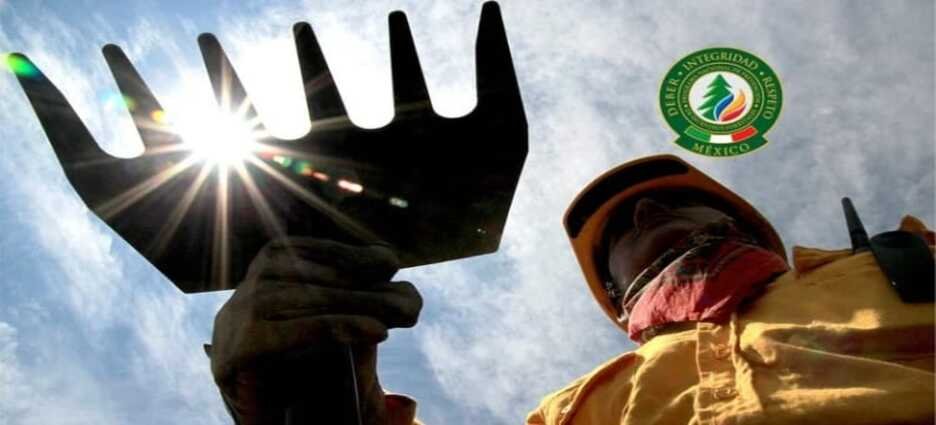 Tlaxcala se mantiene sin incendios forestales en lo que va del 2025