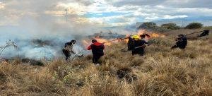 Gobierno de Huamantla implementa acciones para prevenir incendios de pastizales y forestales