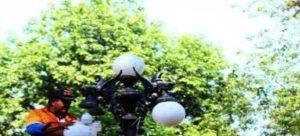 Ayuntamiento de Tlaxcala retira focos de la Plaza de la Constitución por 8M