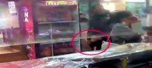 Captan a policía robando una cartera a ciudadana en Tlaxcala