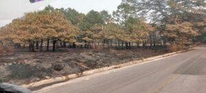 Gobierno de Tlaxcala solicita apoyo de helicópteros para combatir incendio