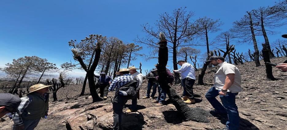 Autoridades obtienen información positiva para reforestar Atltzayanca tras incendio