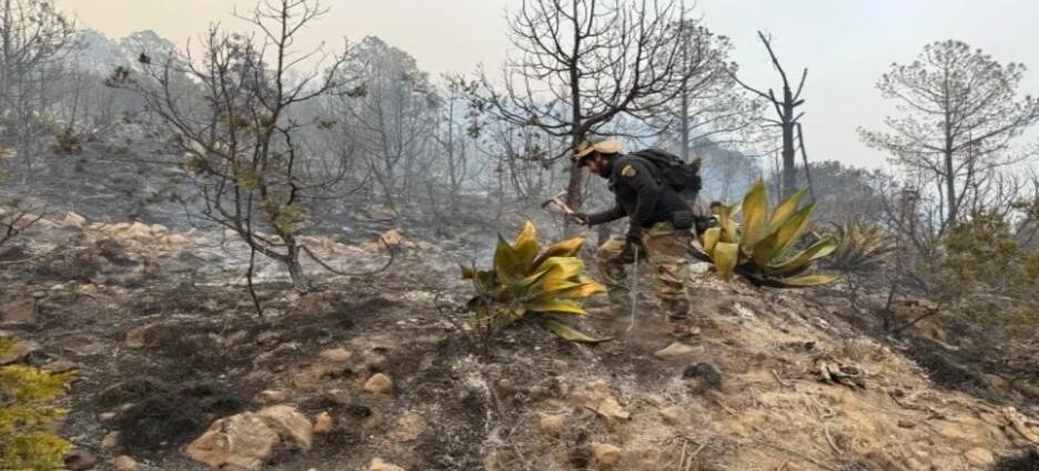 IFAST realiza monitoreo ecológico en cerro San Gabriel de Atltzayanca