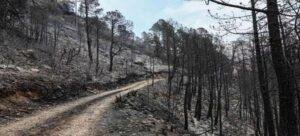 Conafor reporta más daño del reconocido por autoridades estatales tras incendio en Tlaxcala