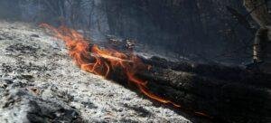 Daños irremediables por incendio forestal registrado en Tlaxcala