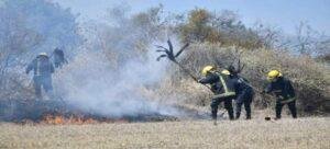 Quemas agrícolas habrían originado incendios en Tlaxcala