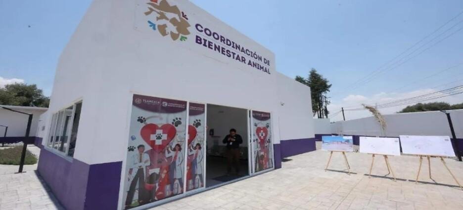 Gobernadora supervisa instalaciones y funcionamiento de la Clínica de Bienestar Animal