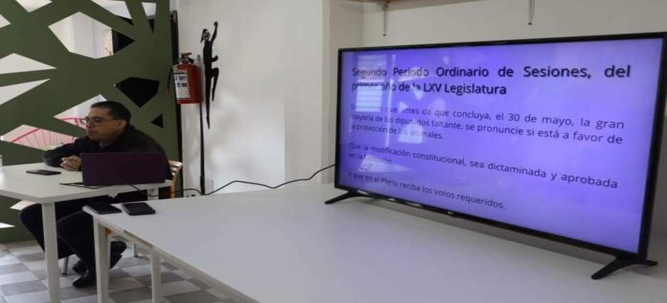 Urge elevar a rango constitucional la protección animal en Tlaxcala