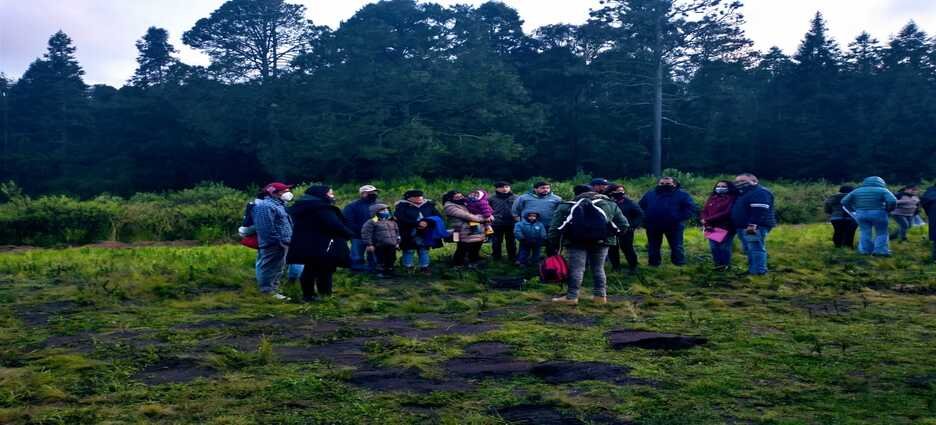 Existen 23 tour-operadores para Temporada de luciérnagas en Tlaxcala