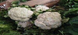 Impulsan consumo responsable con Mercadito Agroecológico en Tlaxcala