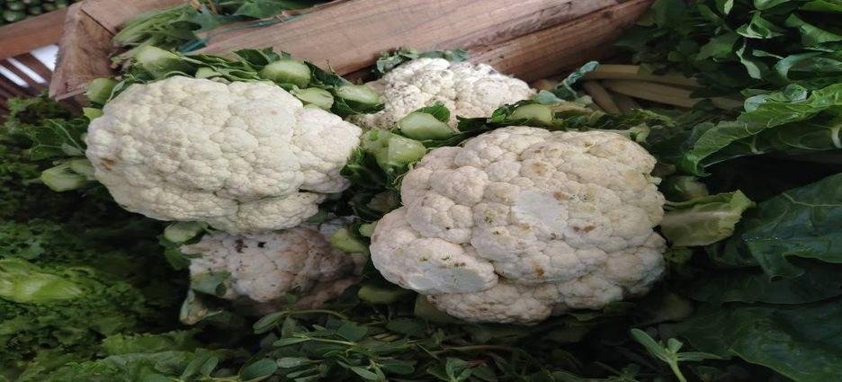 Impulsan consumo responsable con Mercadito Agroecológico en Tlaxcala