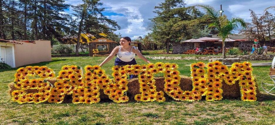Santuario de girasoles tendrá festival con recorridos entre flores, show de hadas y degustaciones de miel en Tlaxcala
