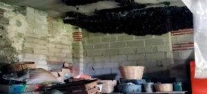 Profepa protege a 2,000 murciélagos en Tlaxcala