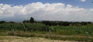 Tlaxcala lleva un año sin afectación por alguna condición de sequía