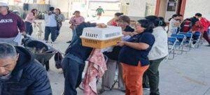 Ayuntamiento de Tlaxcala y SESA amplían fechas para esterilizar a mascotas