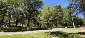 CFJG exige cese al ecocidio en Tlaxcala