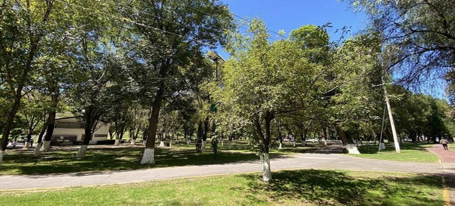 CFJG exige cese al ecocidio en Tlaxcala