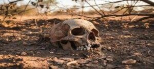 Alumnos encuentran cráneo en secundaria de Panotla, Tlaxcala