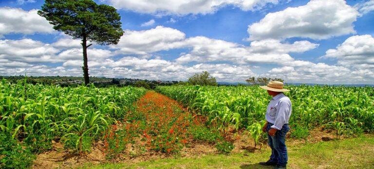Gobernadora Cuéllar mantiene su compromiso con los campesinos tlaxcaltecas