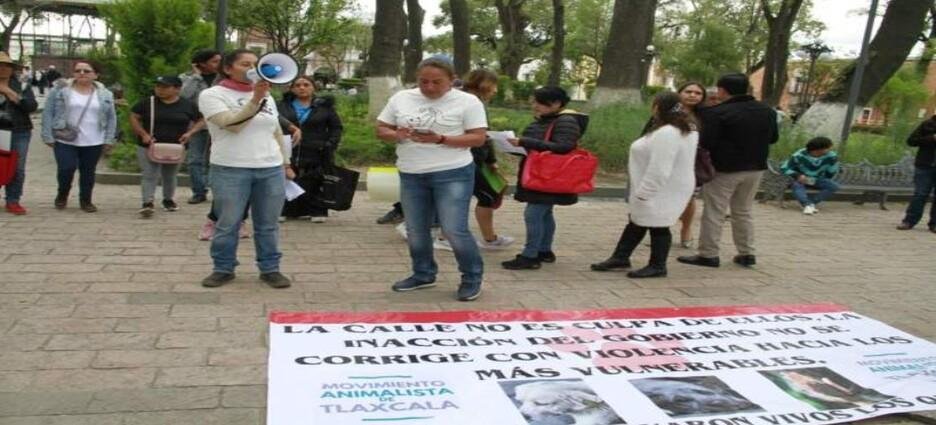 Colectivos animalistas denuncian omisiones en caso de perrito calcinado en Tlaxcala