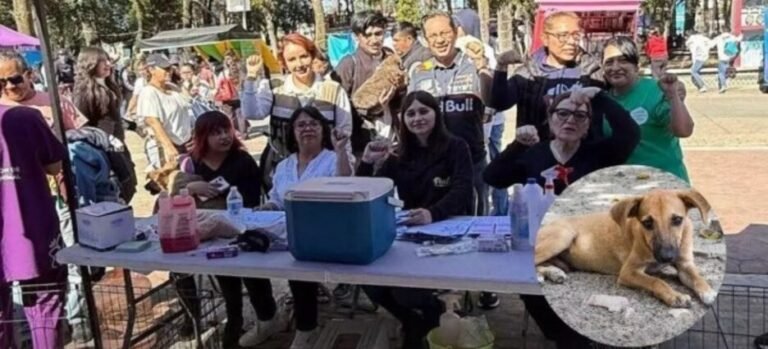 Colectivos denuncian nula respuesta institucional ante crueldad animal en Tlaxcala