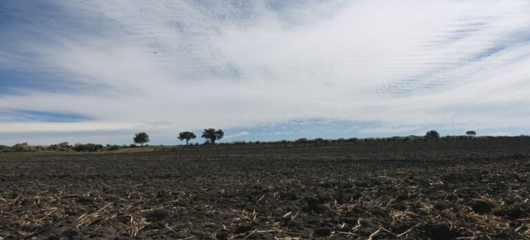 Cabañuelas Tlaxcala 2026