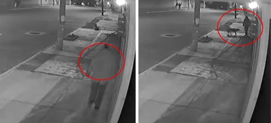 Captan a sujeto golpeado a perrito que estaba acostado en banqueta de Tlaxcala