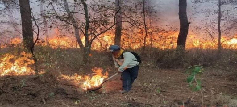 Refuerzan prevención de incendios forestales para proteger comunidades y ecosistemas en Tlaxcala