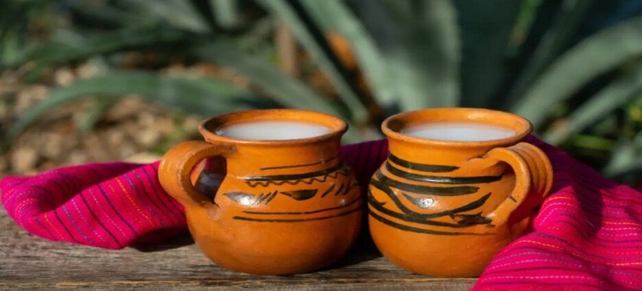 Logran indicación geográfica para el pulque en Tlaxcala