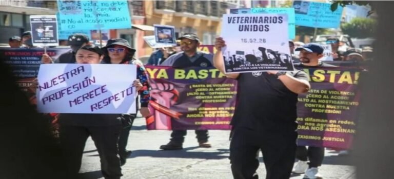 Veterinarios de Tlaxcala exigen garantías de seguridad en su ejercicio profesional
