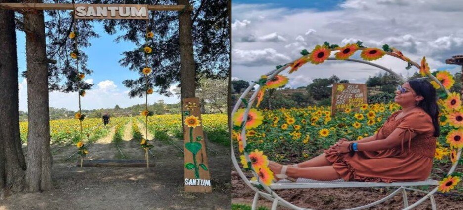 Festival Entre Girasoles en Tlaxcala