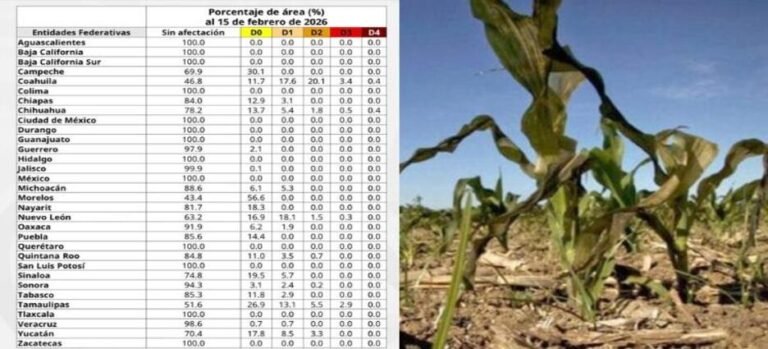 Tlaxcala se mantiene libre de sequía durante 2026