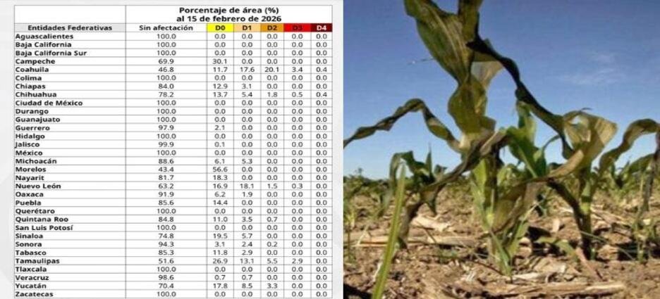 Tlaxcala se mantiene libre de sequía durante 2026