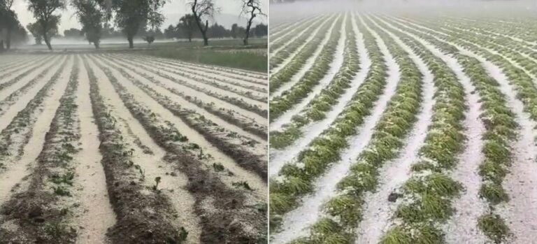 Granizadas dejan daños en viviendas y cultivos de Los Reyes de Juárez, Tepeaca y Cuapiaxtla