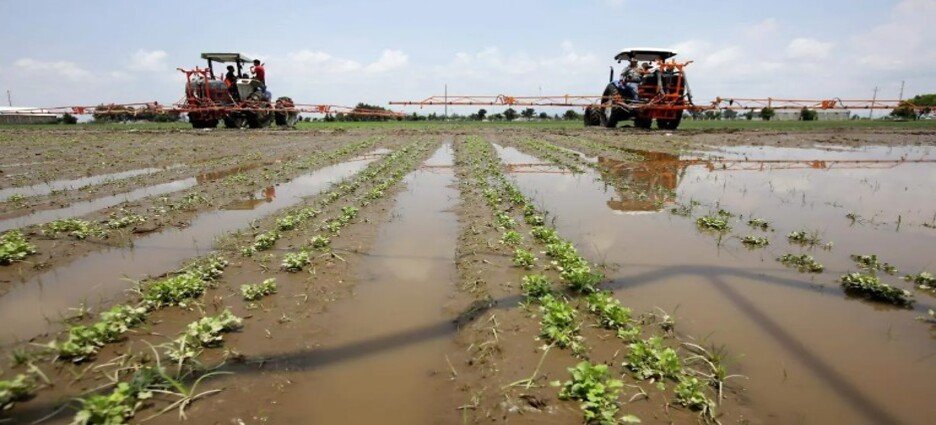 Granizada destruye brotes de milpa en Nanacamilpa y Calpulalpan