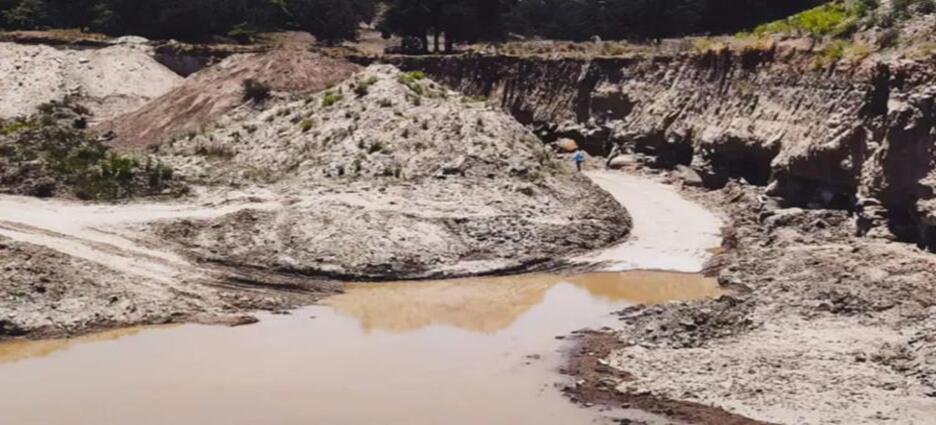 Profepa interviene por daño a bosque de Tlaxcala