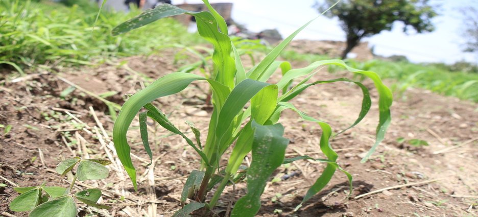 Tlaxcala realiza subsidio con CONAGUA para tecnificar infraestructura hidroagrícola