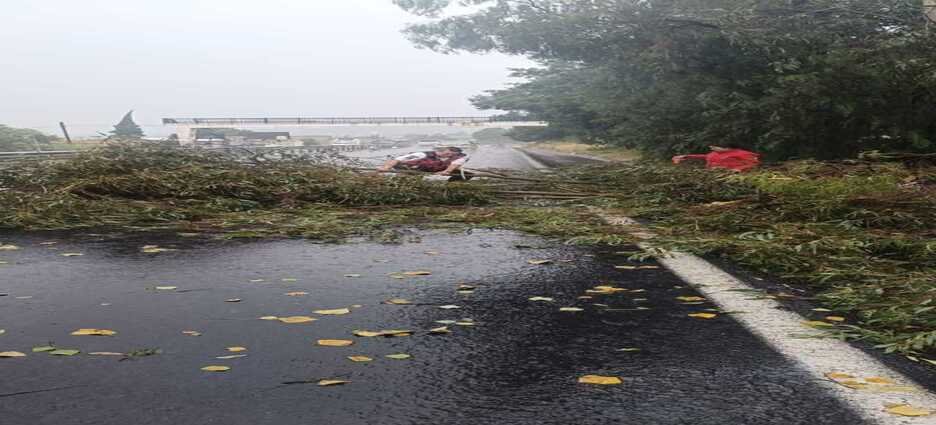 Elementos de Protección Civil atienden afectaciones por fuertes lluvias en Tlaxcala